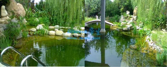 生態(tài)泳池，不僅僅只是泳池